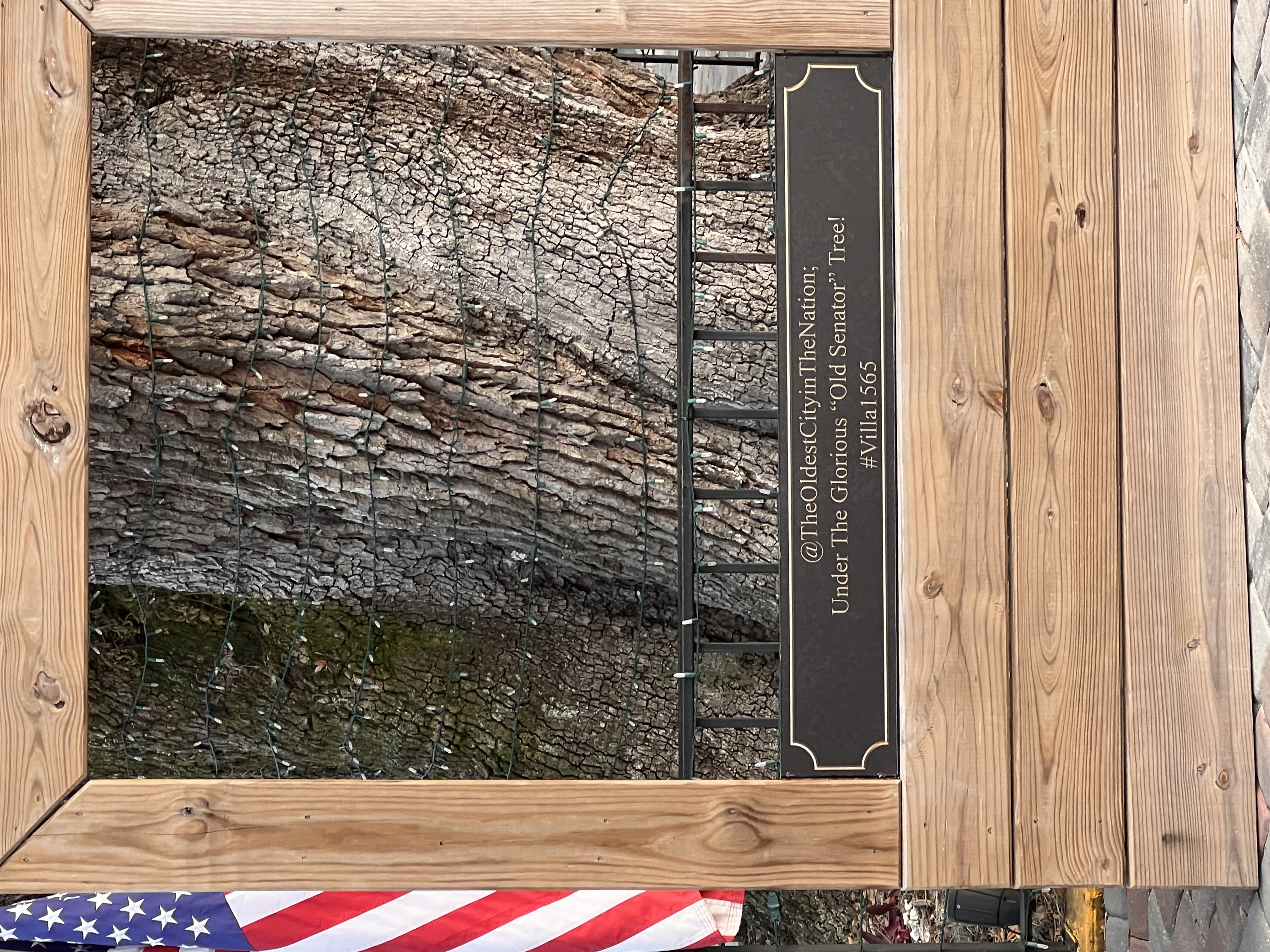 ./2022/13 - St Augustine/IMG_5231.JPG